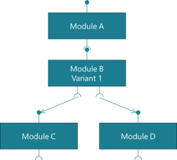 Software Modularity