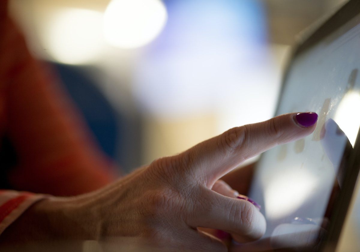 What is PALMA course