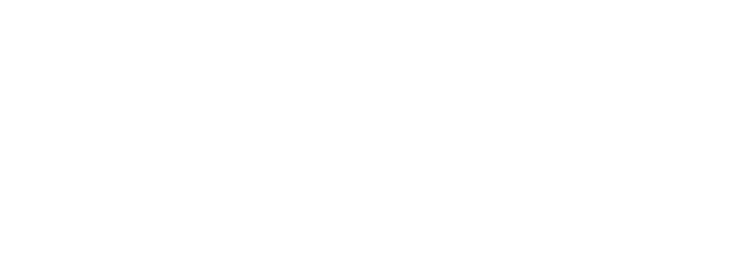 PALMA Logo animation 2026