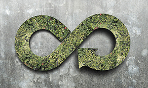 circular-economy-loop-300x175